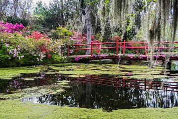 Magnolia Plantation and its Gardens near Charleston, South Carolina, USA