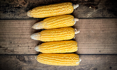  Corn FOCUSED an BLUR picture "Golden Fields: A Cornucopia of Beauty"
"Harvesting Sunshine: Golden Corn"
"Majestic Maize: A Cornfield's Glory"
"Fields of Gold: Cornstalk Splendor"
The Corn Chronicles