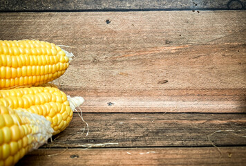  Corn FOCUSED an BLUR picture "Golden Fields: A Cornucopia of Beauty"
"Harvesting Sunshine: Golden Corn"
"Majestic Maize: A Cornfield's Glory"
"Fields of Gold: Cornstalk Splendor"
The Corn Chronicles