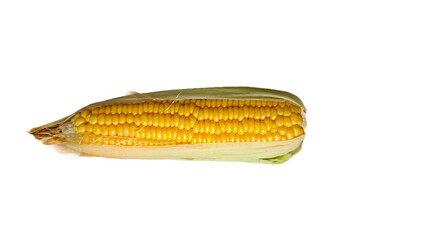  Corn FOCUSED an BLUR picture "Golden Fields: A Cornucopia of Beauty"
"Harvesting Sunshine: Golden Corn"
"Majestic Maize: A Cornfield's Glory"
"Fields of Gold: Cornstalk Splendor"
The Corn Chronicles