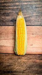  Corn FOCUSED an BLUR picture "Golden Fields: A Cornucopia of Beauty"
"Harvesting Sunshine: Golden Corn"
"Majestic Maize: A Cornfield's Glory"
"Fields of Gold: Cornstalk Splendor"
The Corn Chronicles
