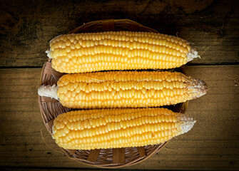  Corn FOCUSED an BLUR picture "Golden Fields: A Cornucopia of Beauty"
"Harvesting Sunshine: Golden Corn"
"Majestic Maize: A Cornfield's Glory"
"Fields of Gold: Cornstalk Splendor"
The Corn Chronicles