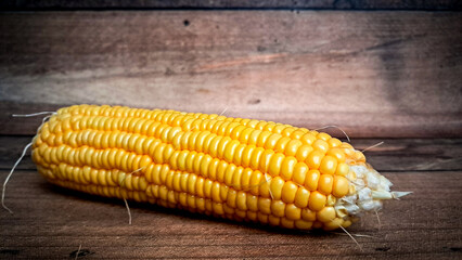  Corn FOCUSED an BLUR picture "Golden Fields: A Cornucopia of Beauty"
"Harvesting Sunshine: Golden Corn"
"Majestic Maize: A Cornfield's Glory"
"Fields of Gold: Cornstalk Splendor"
The Corn Chronicles