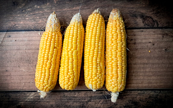  Corn FOCUSED an BLUR picture "Golden Fields: A Cornucopia of Beauty"
"Harvesting Sunshine: Golden Corn"
"Majestic Maize: A Cornfield's Glory"
"Fields of Gold: Cornstalk Splendor"
The Corn Chronicles