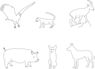 Vector sketch illustration of animal collection design