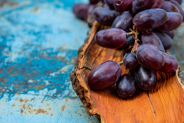 Purple grapes. Red bark.  Metallic blue rusty surface. Copy space. 