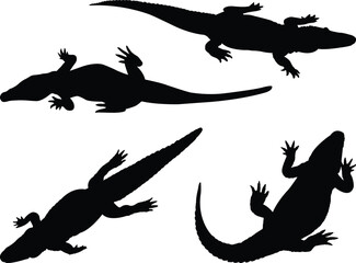 set of silhouettes alligator - obrazy, fototapety, plakaty