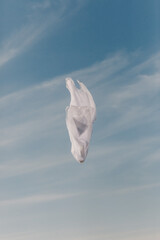 white cloth flying in a beautiful blue sky