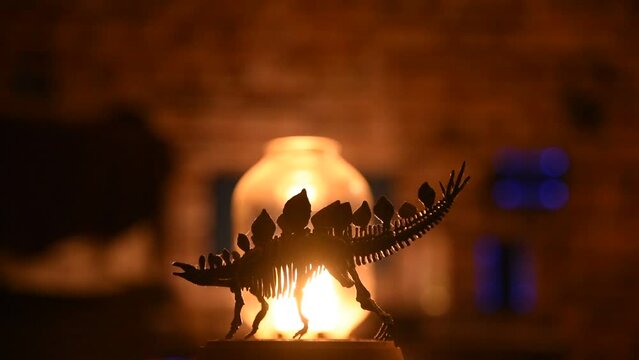 Rotating dinosaur bones made of resin in warm night light lamp