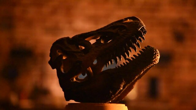 Rotating dinosaur t-rex skull made of resin in warm night light lamp