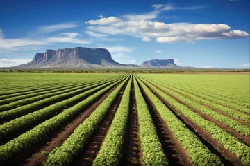 Fotobehang Green Landscape of Arizona Farm: Agriculture & Nature at Their Best © AIGen