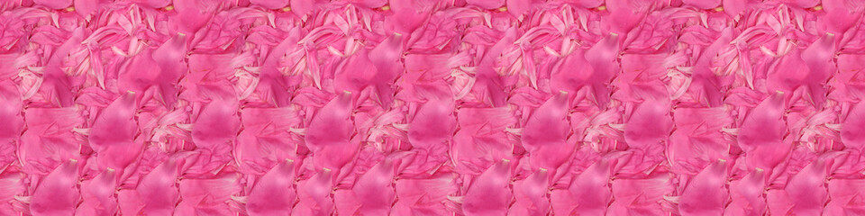 Obraz premium Seamless long banner, Pink peonies in pastel colors close-up