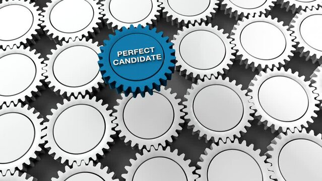 Perfect Candidate Hire Open Position for a Job, Cog Wheel 3D Illustration