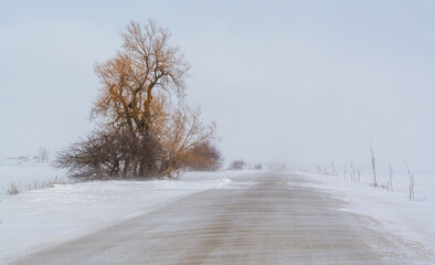 Rural road in winter storm