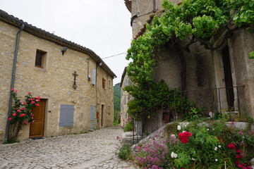 Fototapeta na wymiar narrow old cobblestone street in medieval village in the south of France with a green climbing vine