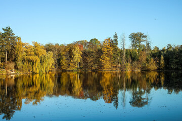 Fototapeta na wymiar View of beautiful lake and yellow trees on autumn day