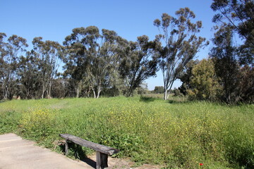 Bench for rest in a city park on the shores of the Mediterranean Sea.