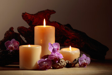 Orchid flowers and burning candles on a background of old wooden snags.