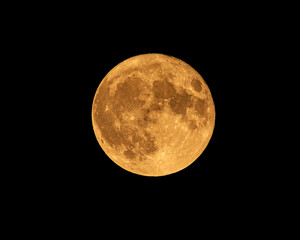 Full Moon Orange