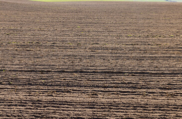 plowed soil in a field during preparation for sowing