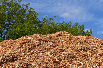 Wood chips on a pile renewable energy - 647391071