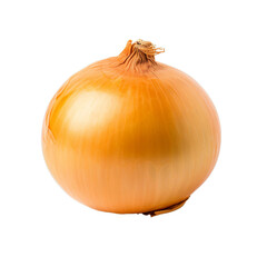 A close-up view of a fresh onion on a clean white background