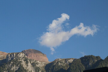 Trentino