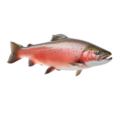 A fish on a white surface