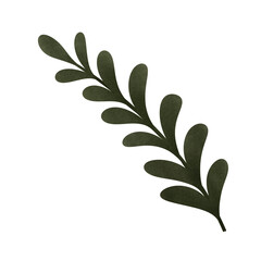 cartoon of green olive branch, no background, Autumn