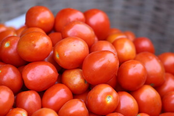 Bangladeshi Vegetable Tomato