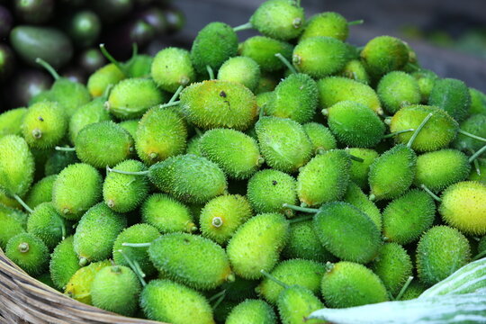 Bangladeshi Vegetable Kakrol