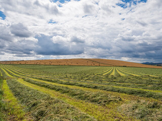 Arable farming scenein the Scottish Borders, UK with copy space.