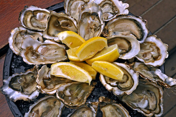 Alimentos. Prato de Ostras.