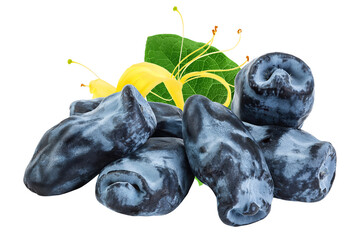 Fresh honeysuckle blue berry isolated on white background with full depth of field