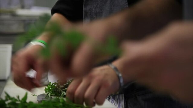 K&ouml;che frische Kr&auml;uter schneiden / frische Kr&auml;uter schneiden / nahe Einstellung / gesunde Ern&auml;hrung / Kr&auml;uter / K&uuml;che / 
