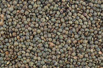 raw french green lentils as a background. Top view. Flat lay