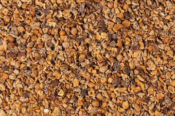 Crataegus, commonly called hawthorn, quickthorn, Mayflower or hawberry is a genus of several hundred species of shrubs and trees in the family Rosaceae. Alternative medicine. Medicinal herb.