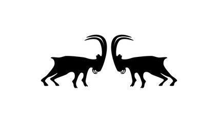 Wild Goats Fighting
