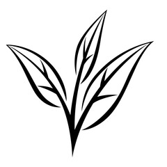 Leaves of black tea. Illustration of traditional drink.