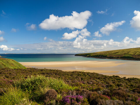 View over Waulkmill Bay, Orkney, Scotland with sandy beach, heather and the waters of Scapa Flow in the distance