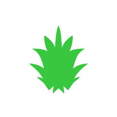 Pinaple Leaf Vector Illustration 