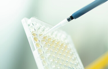 cell culture at the medicine, medical and biology laboratory, cancer science experiment at the...