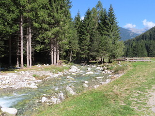 Trentino
