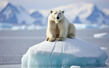 Foto auf Acrylglas Melting Glaciers with Drifting Icebergs and polar bear © Marc