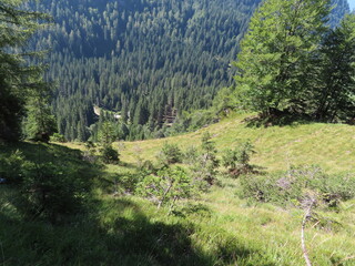 Trentino