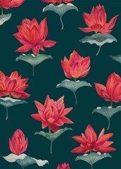 Watercolor colorful lotus flowers, wallpaper, background, postcard. Luxurious flowers.