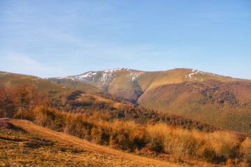 Naklejka premium Golden Autumn Serenade: Majestic Carpathian Peaks Embraced by Nature's Palette