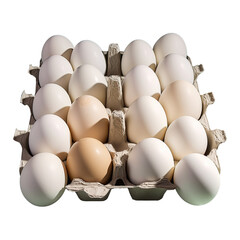 White chicken eggs on cardboard with shadows transparent background