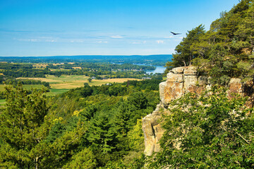 On a sunny late-Summer morning, a Turkey Vulture soars above the Gibraltar Rock Segment of the Ice Age Trail, far above the green, rural landscape below, near Merrimac, WI.