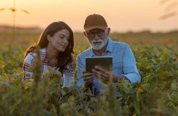 Farmers checking soybean crop in field © Budimir Jevtic